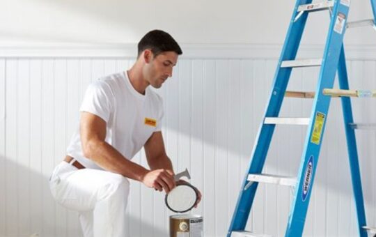 Commercial Painters in Wellington