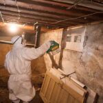 Effective Ways To Remove Mold in Crawl Spaces