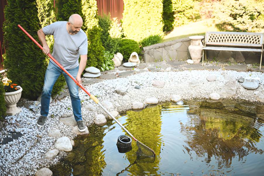 The Complete Pond Care Handbook